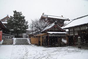 雪の四天王寺亀井不動