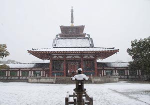 雪の四天王寺仁王門