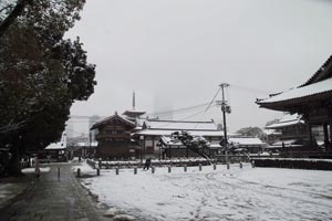 雪の四天王寺六時堂横