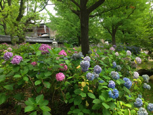 活動報告 四天王寺の活動報告ブログ